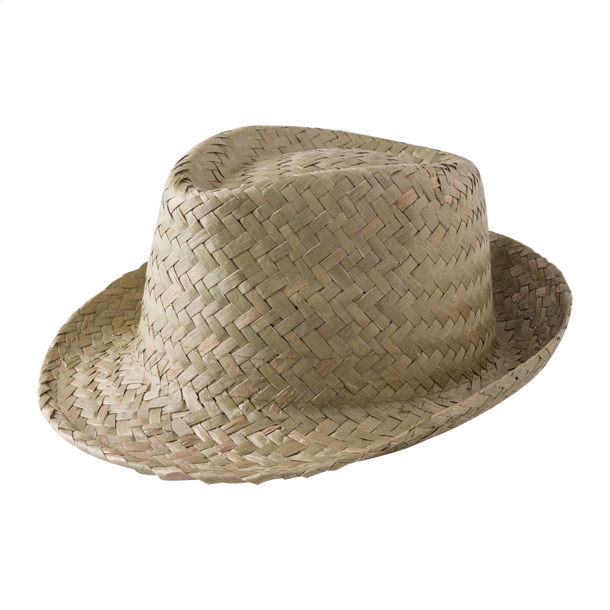 PalmLeaf Hoed - Wetteren