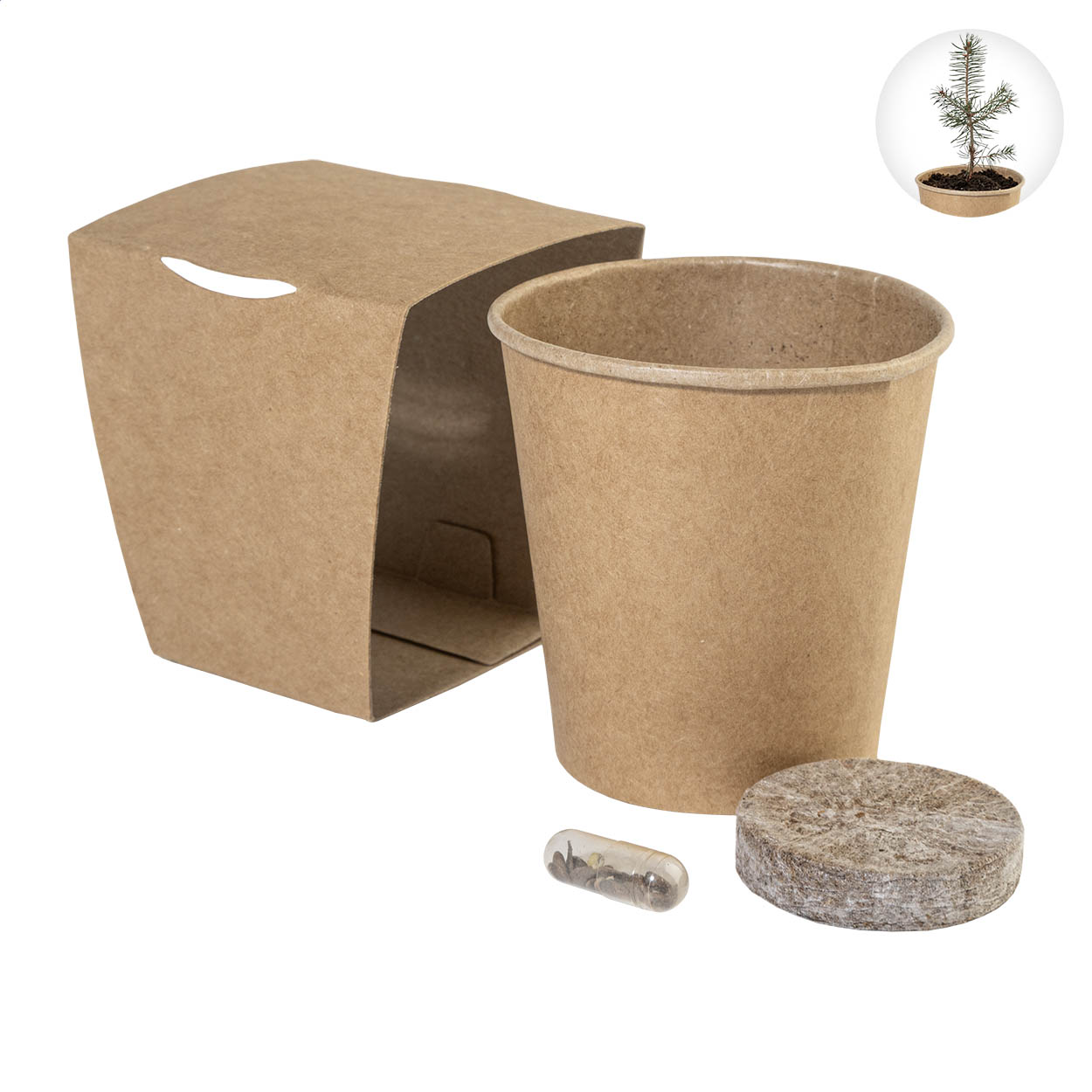 MerryGrow Anzuchtset für Weihnachtsbäume in Kraftpapierhülle, Logo