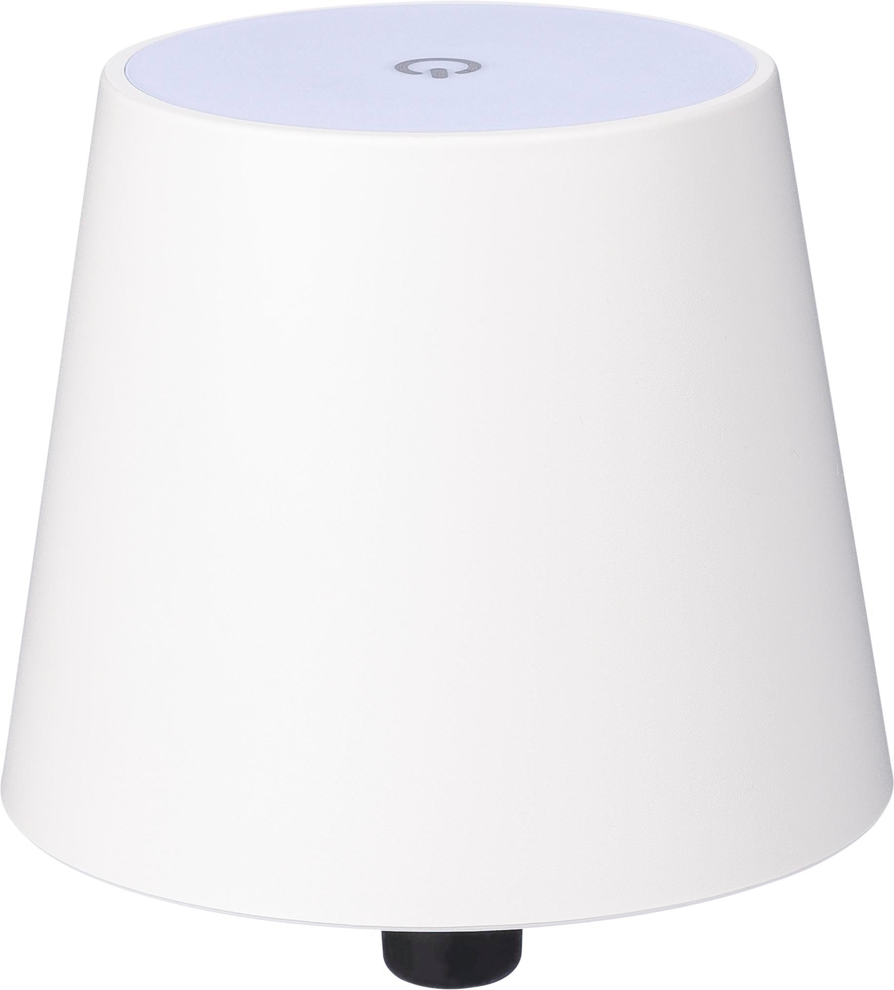 FlesFlair Lamp - Maaseik