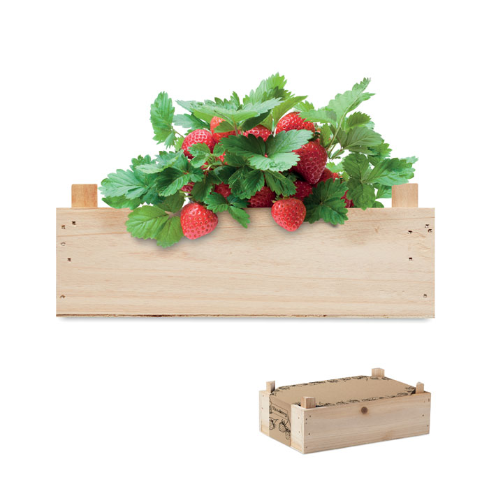 Caissette personnalisée avec des graines de fraises - Ichigo - Zaprinta Belgique