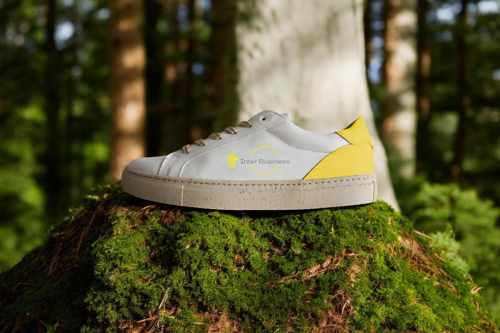 Baskets Personnalisables de Luxe - Meigné-le-Vicomte