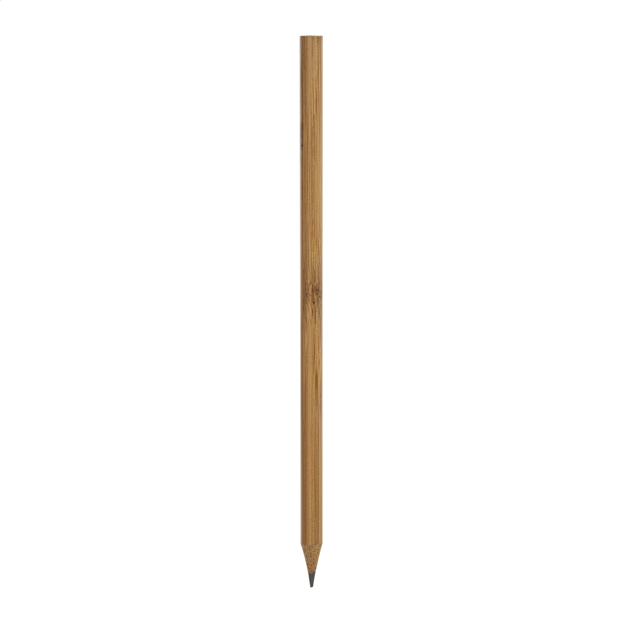 Bambusbleistift - Ravenstein