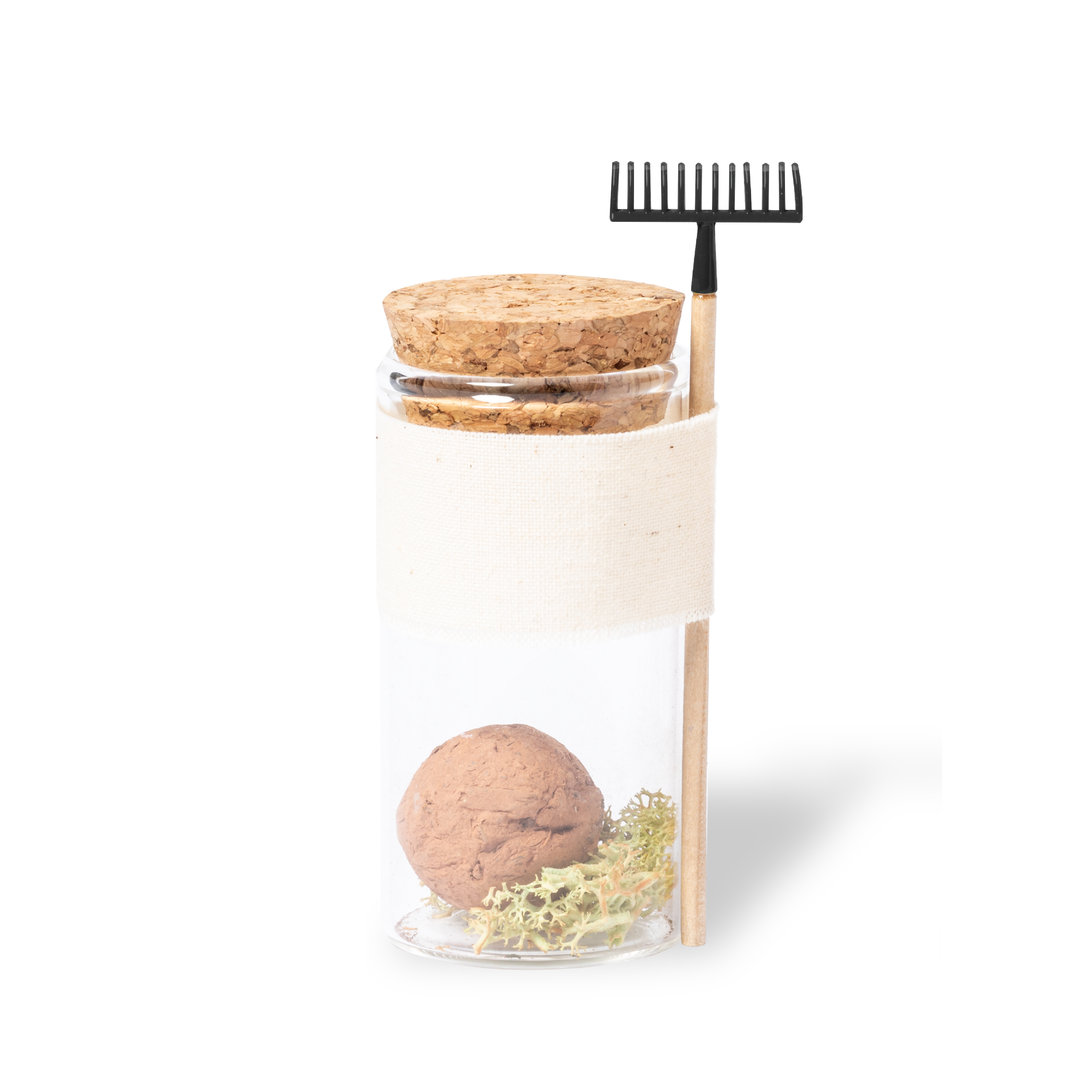 Wilde Bloemen Zaadbonbons - Sint-Jacobs-Kapelle