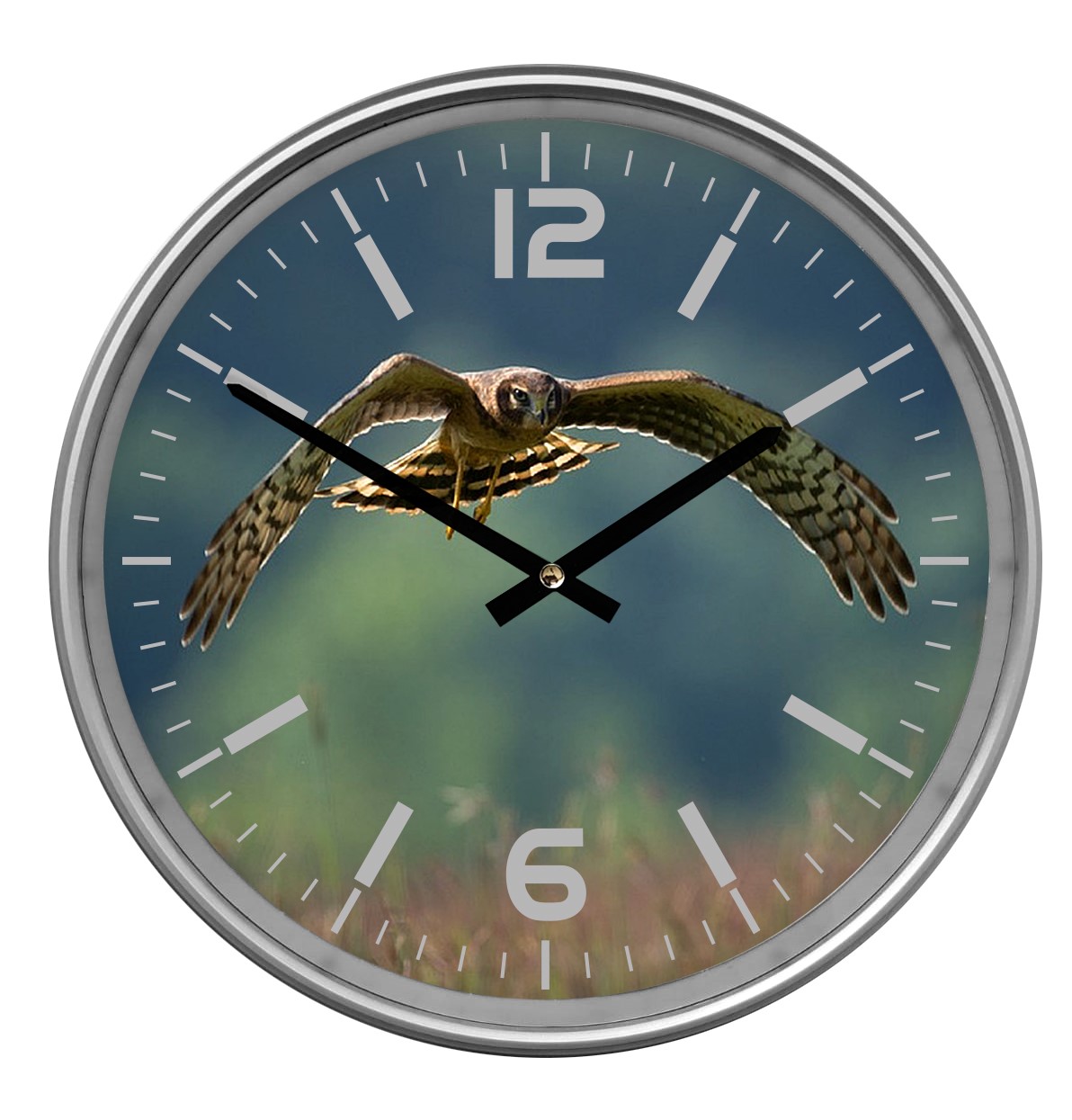 Tijdmeester (33 cm) - De Pinte