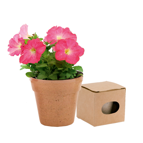 Pot de Fleurs Nature - Ignaux