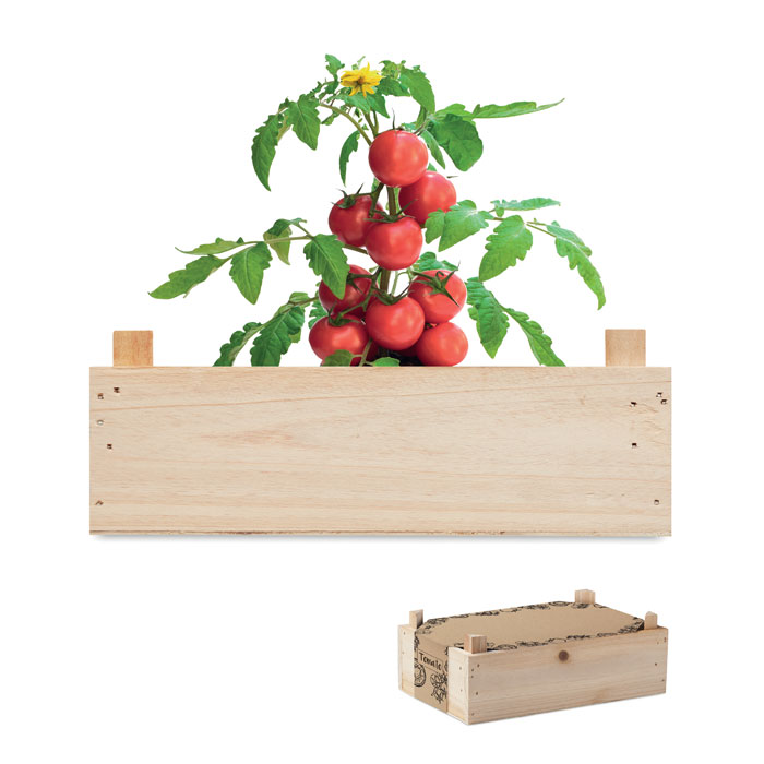 Caissette personnalisée avec graines de tomates - Tadam - Zaprinta Belgique