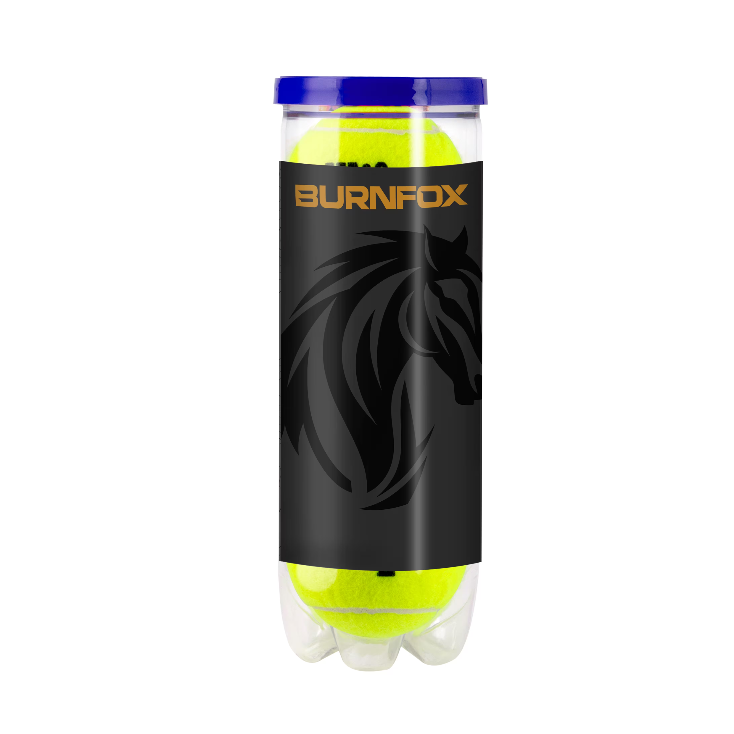 Wilson Roland Garros tennisballen