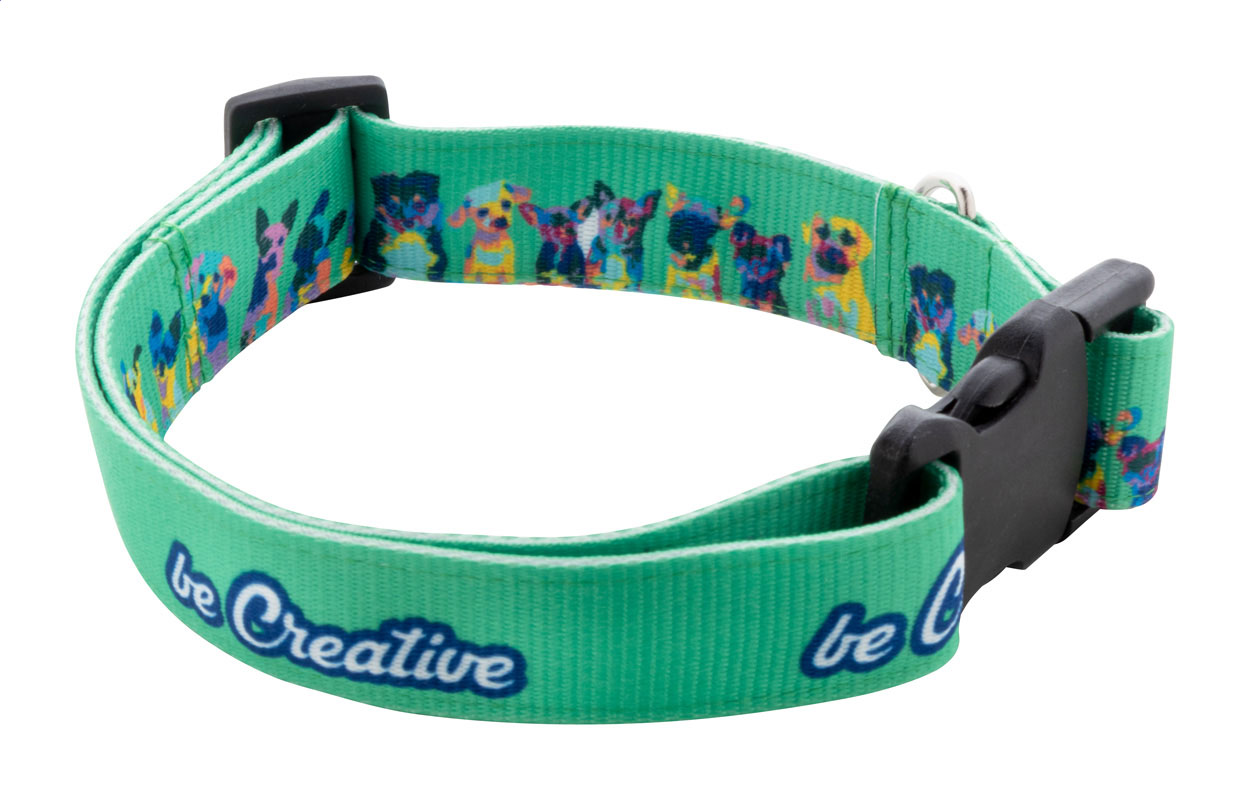 Collier Personnalisé Canin Éclat - Lembeye