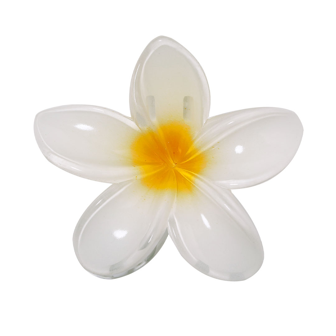 Bloemen Haarclip - Destelbergen