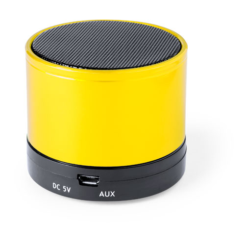 Draagbare Bluetooth Speaker - Bornem