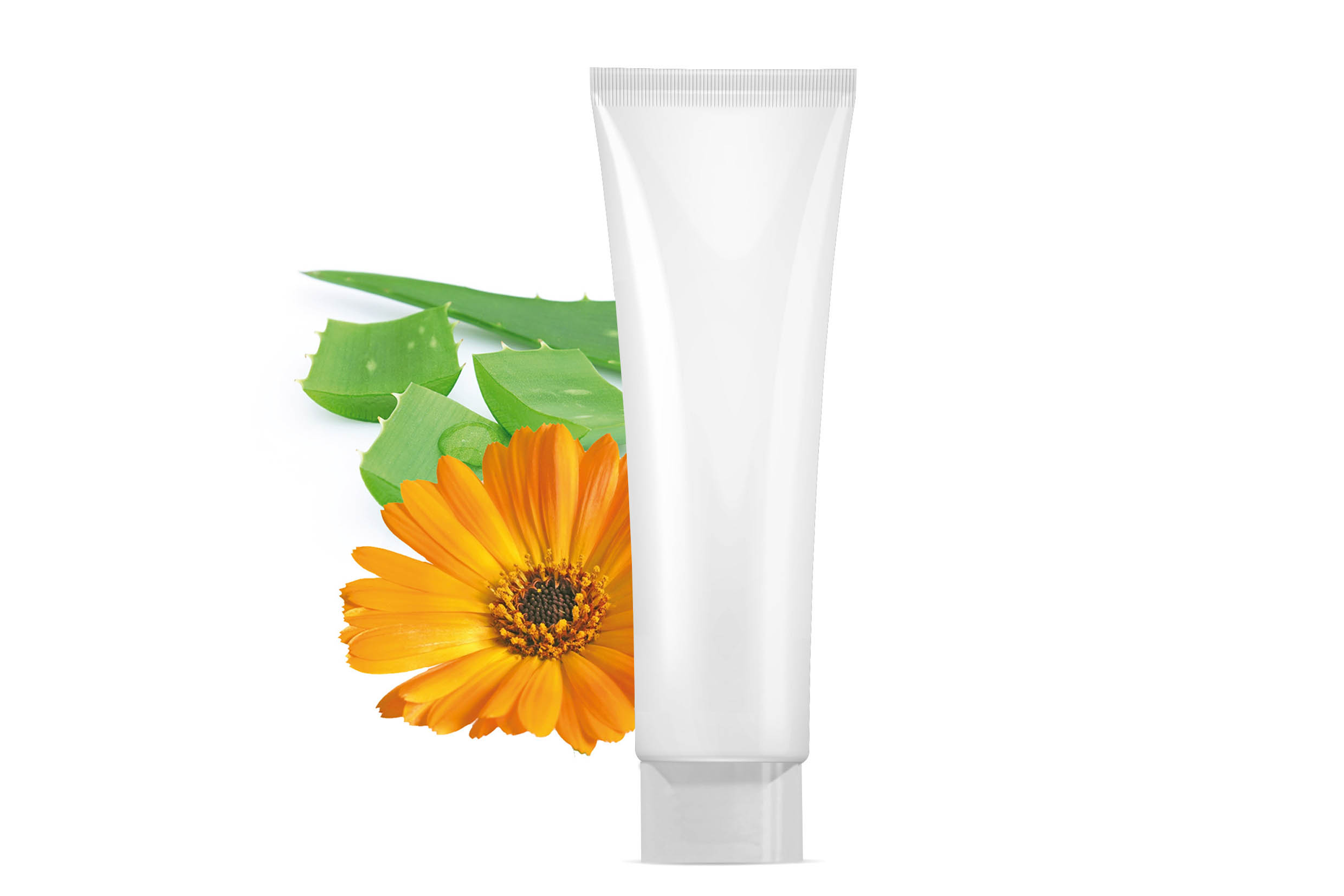 Kalmerende Hand Balsem - Waltwilder